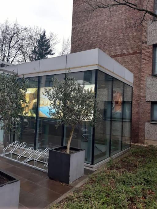 Gemuetlich Und Moderne Wohnung In Duesseldorf Düsseldorf Exterior photo