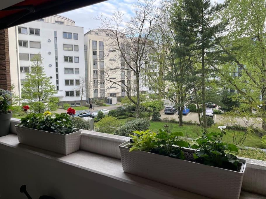 Gemuetlich Und Moderne Wohnung In Duesseldorf Düsseldorf Exterior photo